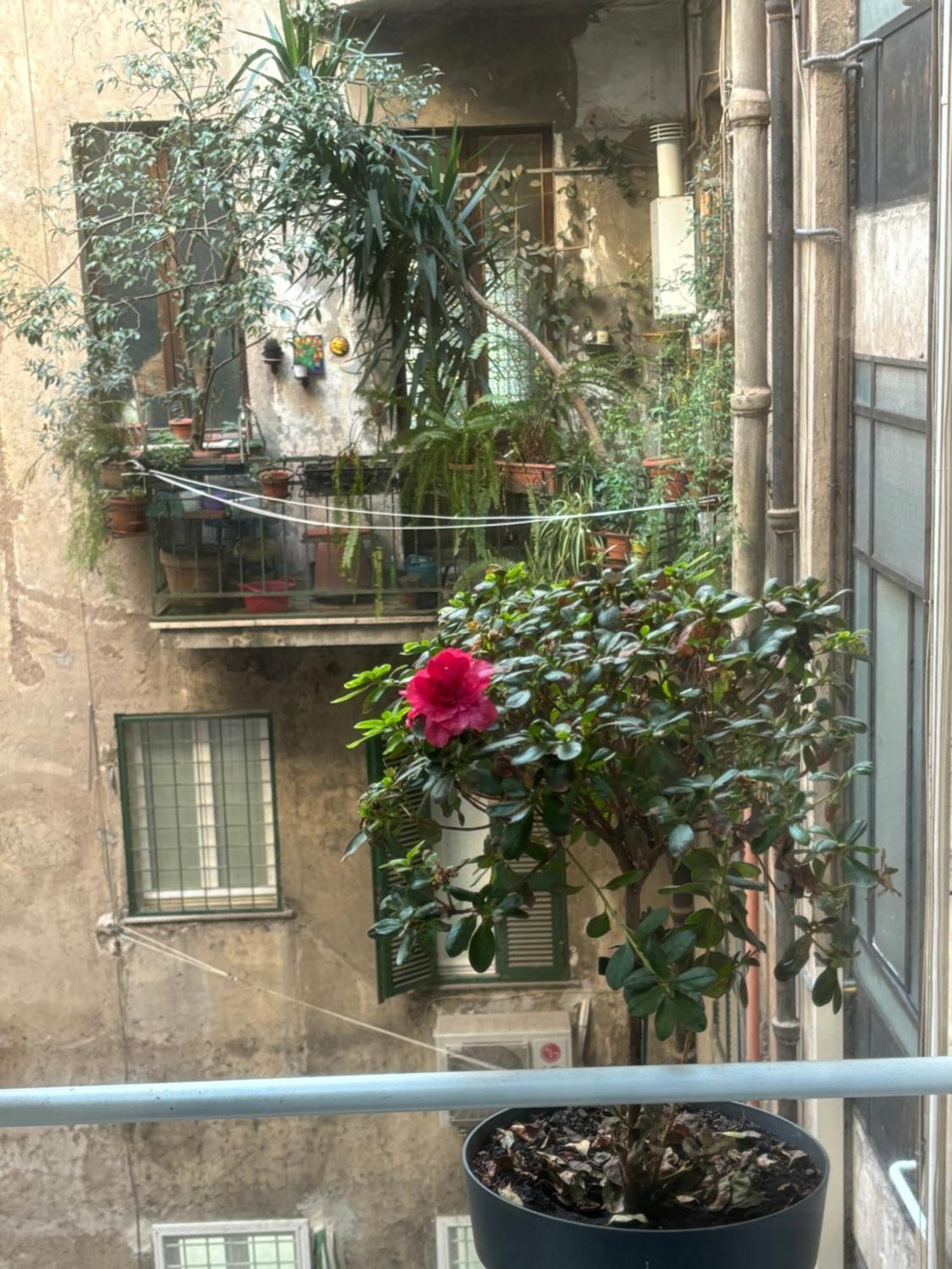 Art Lab Residence Roma Esterno foto